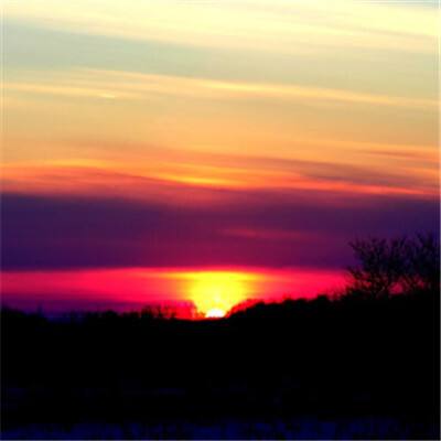 星空线上官网手机app下载