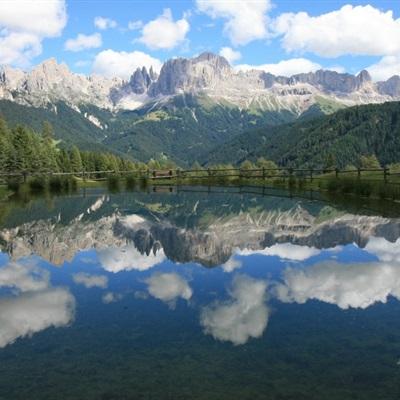 澳门2023全年免费资料大全手机app下载截图