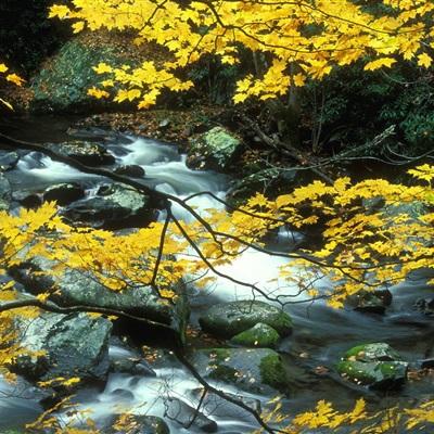 米乐·M6下载手机版